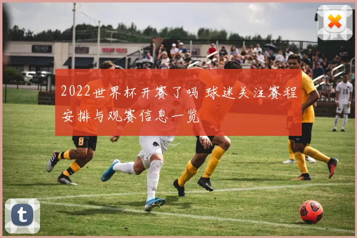 2022世界杯开赛了吗 球迷关注赛程安排与观赛信息一览