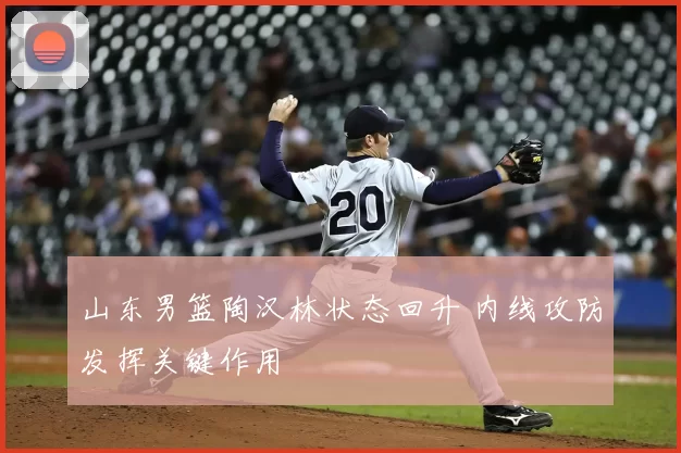 山东男篮陶汉林状态回升 内线攻防发挥关键作用