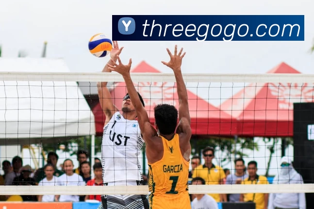 奇异果·奇异果(中国)官方网平台生态图