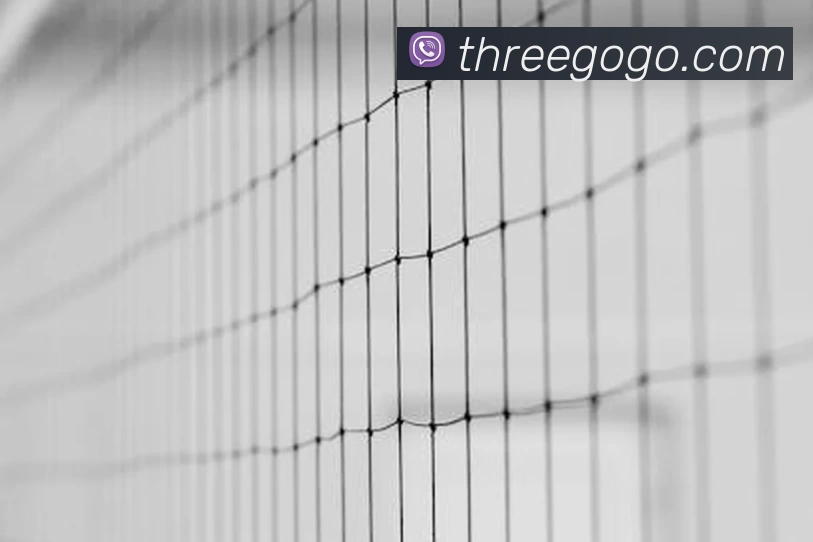 奇异果·奇异果(中国)官方网APP 封面图